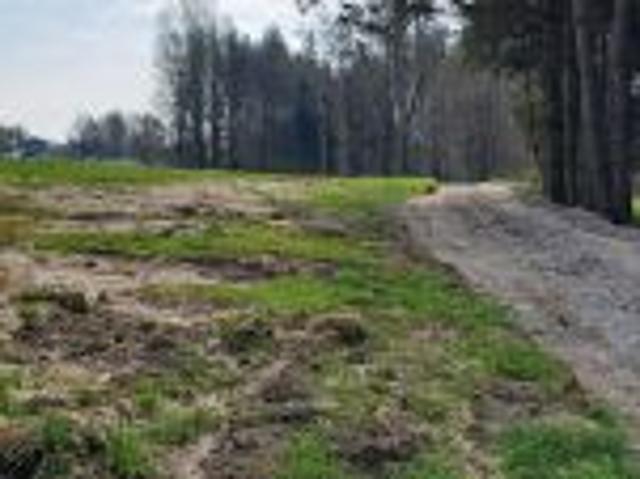Grunt na sprzedaż w Wodzisław Śląski, Śląskie