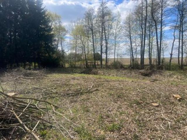 Grunt na sprzedaż w Wojciechów, Lubelskie