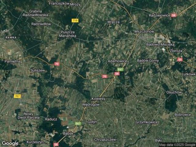 Grunt na sprzedaż w Wola Pękoszewska, Łódzkie