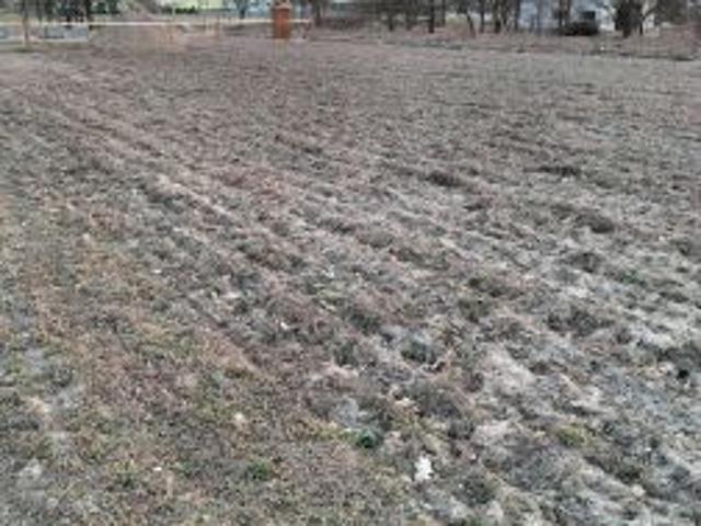 Grunt na sprzedaż w Wolanów, Mazowieckie