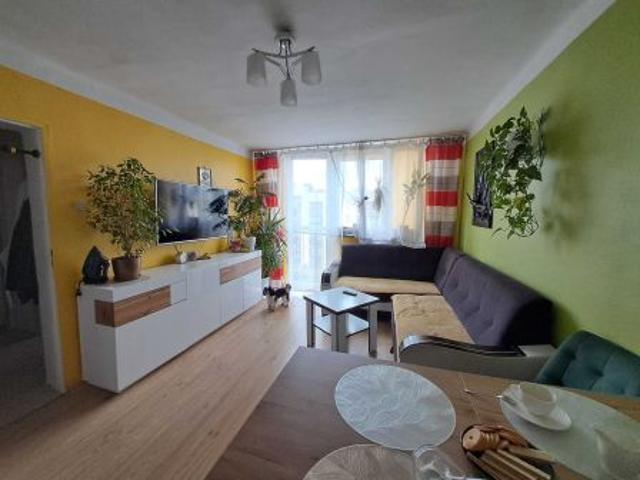 Mieszkanie na sprzedaż w Wolbrom, powiat olkuski