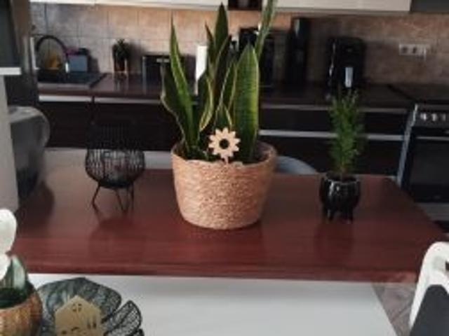 Mieszkanie na sprzedaż w Opole, Opolskie