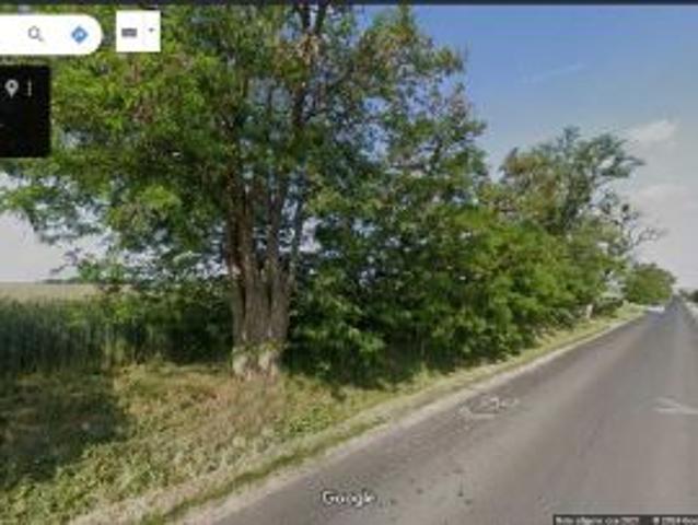 Grunt na sprzedaż w Wronki, Wielkopolskie