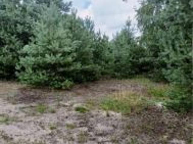 Grunt na sprzedaż w Wymysłowo, Wielkopolskie