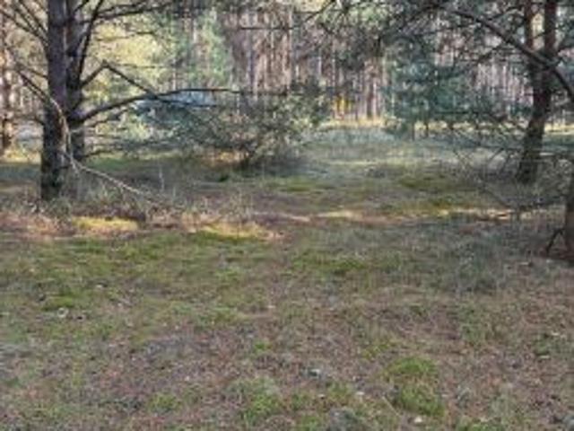 Grunt na sprzedaż w Łążyn, Kujawsko-pomorskie