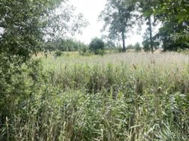 Grunt na sprzedaż w Łysomice, Kujawsko-pomorskie