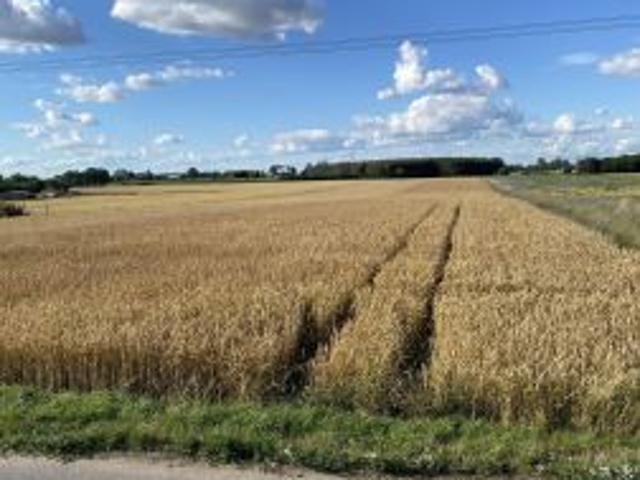 Grunt na sprzedaż w Łysomice, Kujawsko-pomorskie