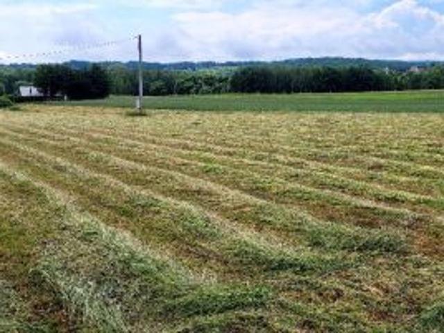Grunt na sprzedaż w Złota, Małopolskie