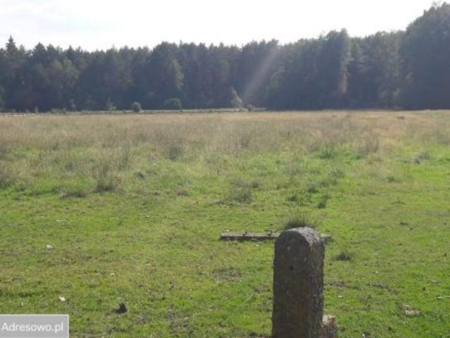 Grunt na sprzedaż w Zabłudów, Podlaskie