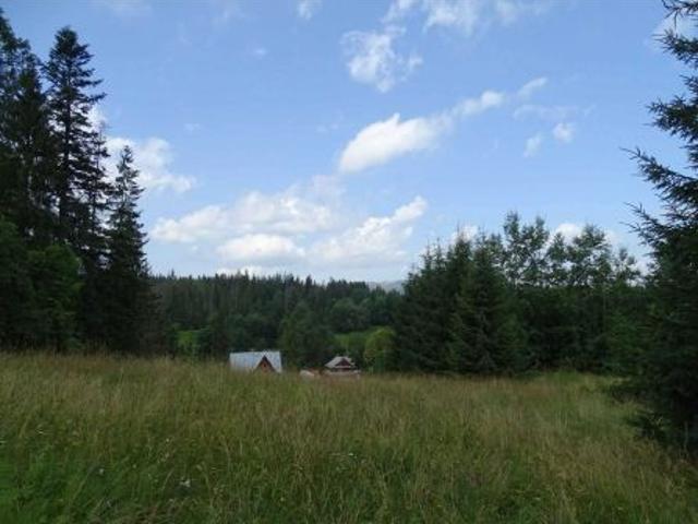 Grunt na sprzedaż w Zakopane, Małopolskie