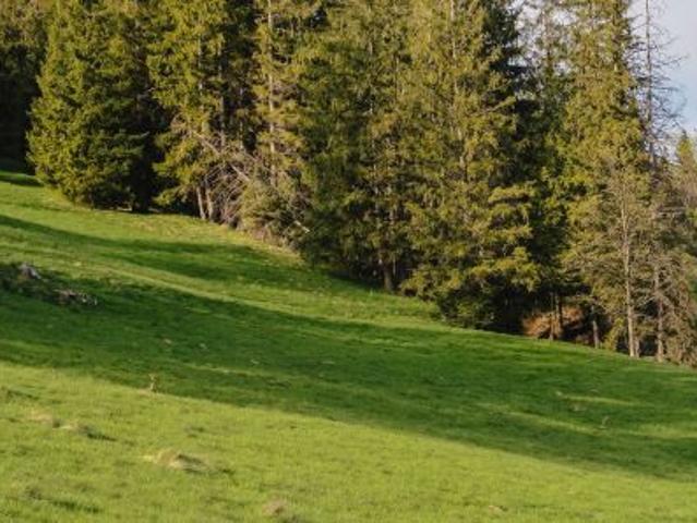 Grunt na sprzedaż w Zakopane, Małopolskie