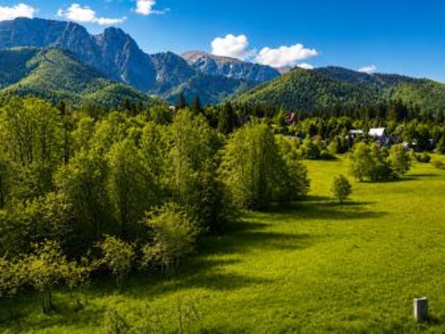 Grunt na sprzedaż w Zakopane, Małopolskie