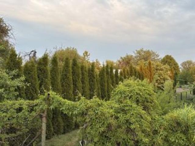 Grunt na sprzedaż w Zamość, Lubelskie