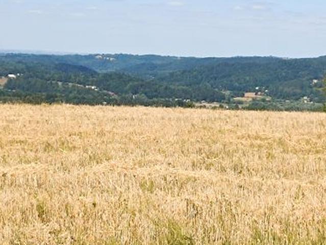Grunt na sprzedaż w Zbydniów, Małopolskie