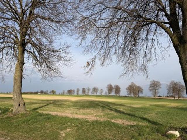 Grunt na sprzedaż w Zdziechowa, Wielkopolskie