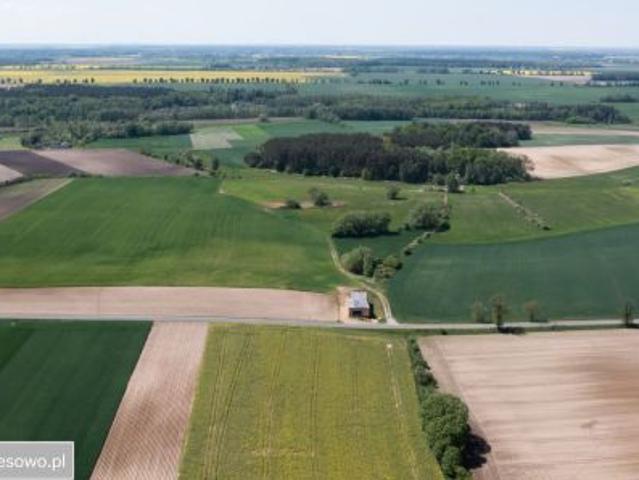 Grunt na sprzedaż w Zielątkowo, Wielkopolskie