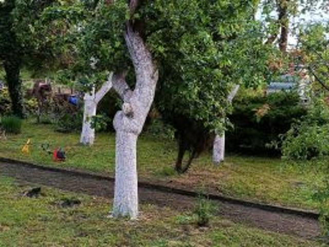 Grunt na sprzedaż w Zielona Góra, Lubuskie
