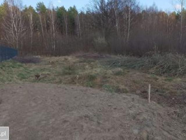 Grunt na sprzedaż w Zielona Góra, Lubuskie
