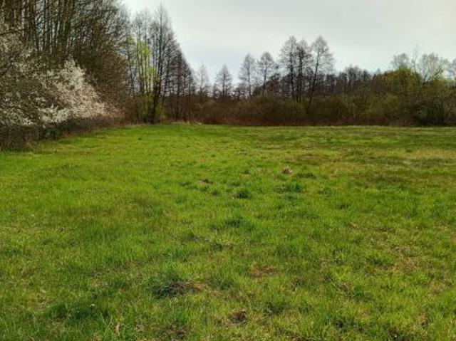 Grunt na sprzedaż w Zwoleń, Mazowieckie