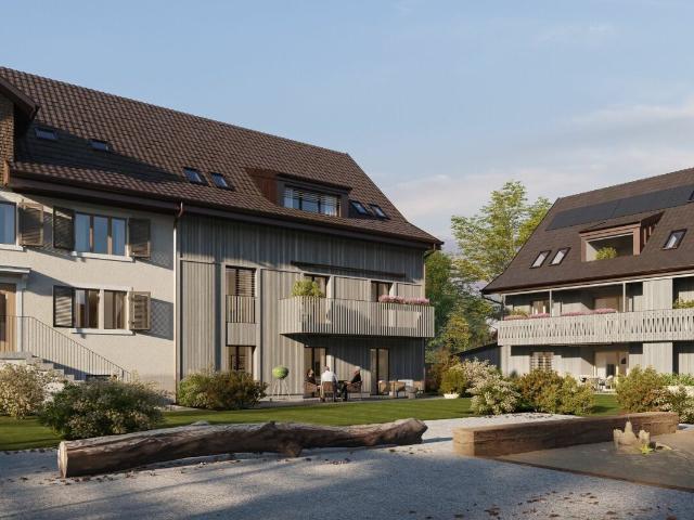 Wohnung kaufen in Gossau (ZH), Zürich