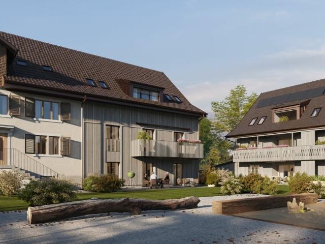 Immobilie kaufen in Gossau (ZH), Zürich
