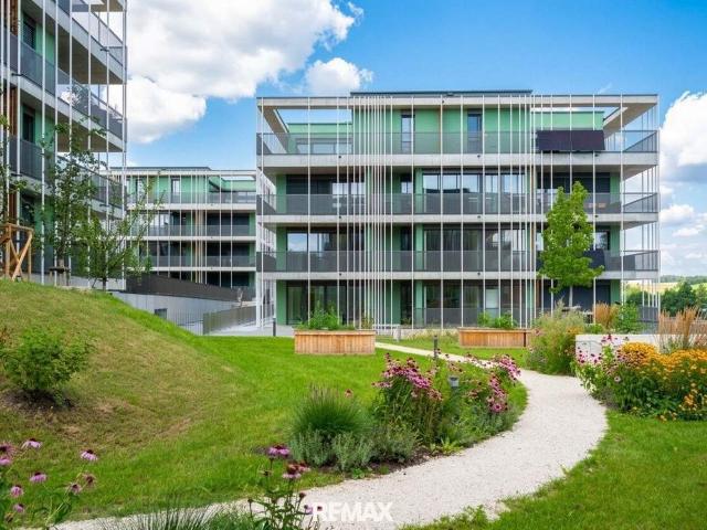Wohnung kaufen in Bezirk Steyr-Land, Oberösterreich