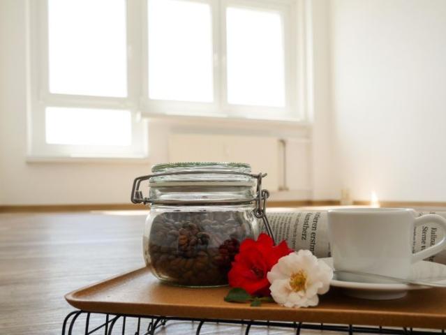 Apartment mieten in Neustädter See, Magdeburg