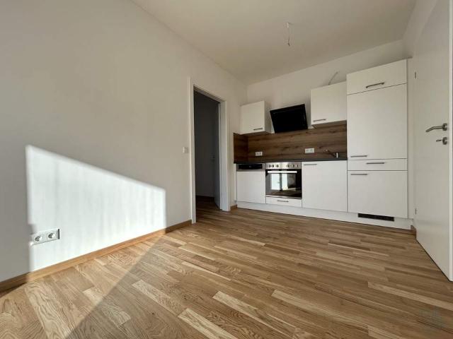 Wohnung kaufen in Andritz, Gersdorf-Feistritz