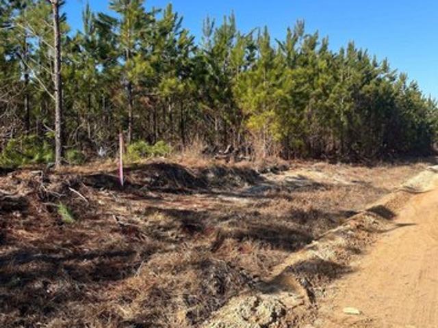 Land for sale in Patrick, South Carolina