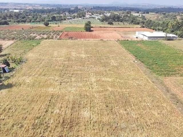 Land for sale in Bangalore North, Cox Town - Bangalore