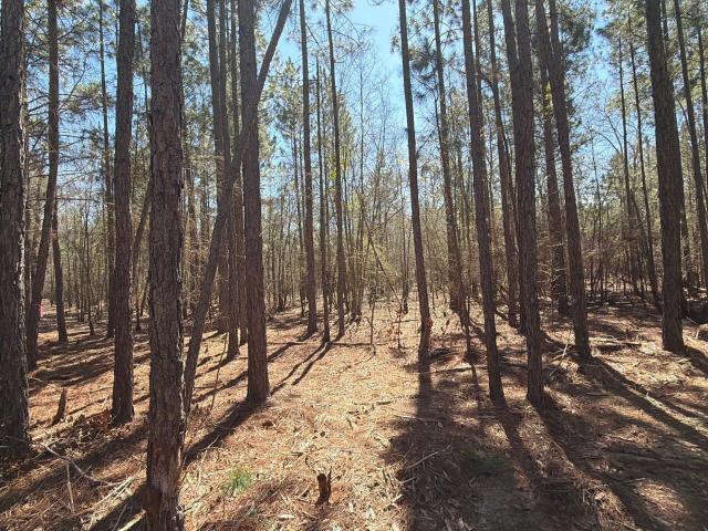 Land for sale in Bethune, South Carolina
