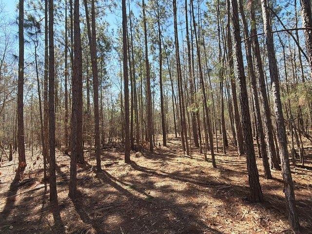 Land for sale in Bethune, South Carolina