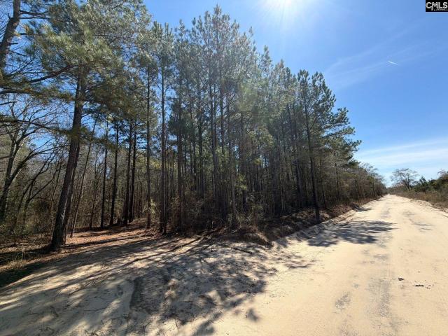 Land for sale in Bethune, South Carolina