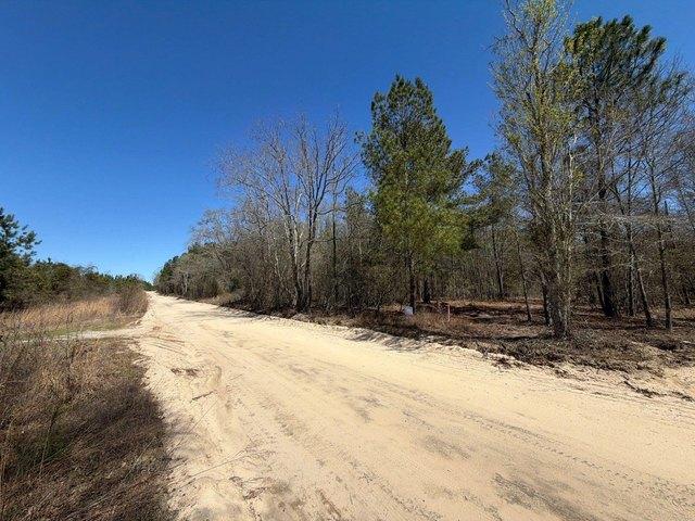 Land for sale in Bethune, South Carolina