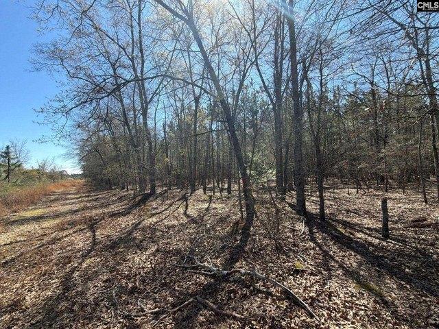 Land for sale in Bethune, South Carolina