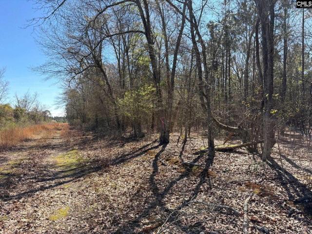 Land for sale in Bethune, South Carolina