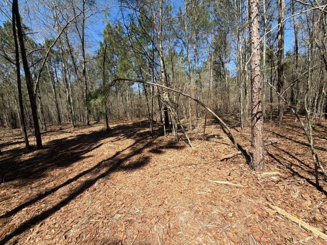 Land for sale in Bethune, South Carolina
