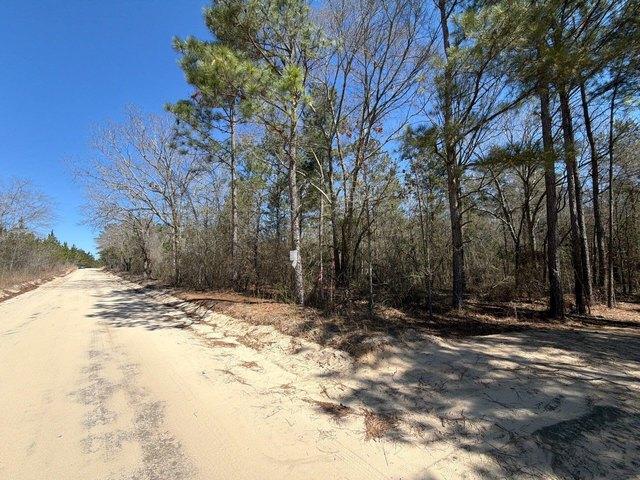 Land for sale in Bethune, South Carolina