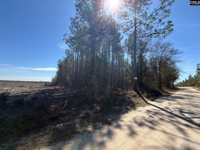Land for sale in Bethune, South Carolina