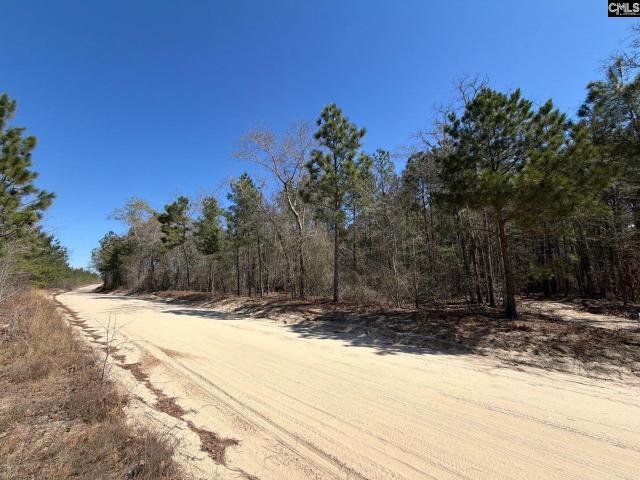 Land for sale in Bethune, South Carolina
