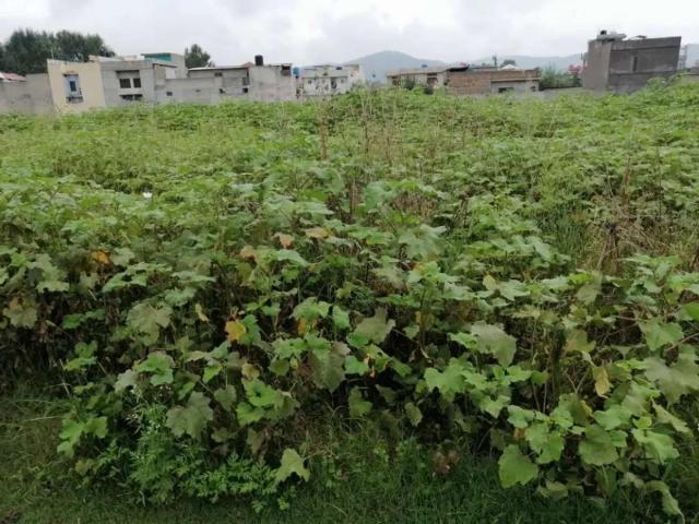 Land for sale in Abbottabad, North West Frontier Province