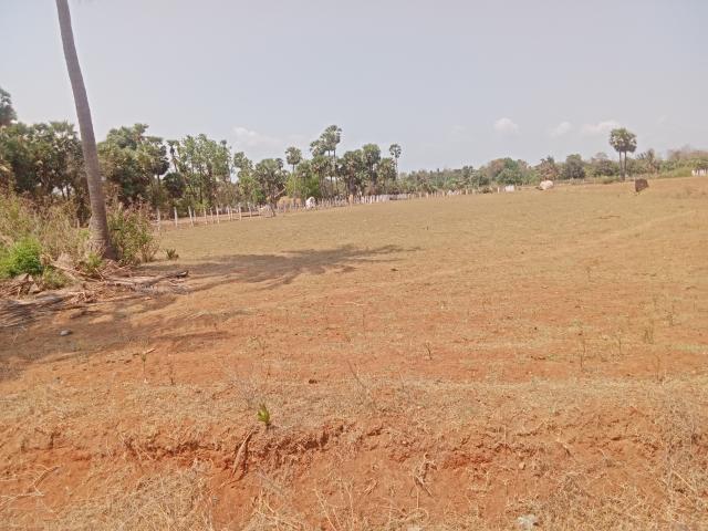 Land for sale in Vizianagaram, Andhra Pradesh