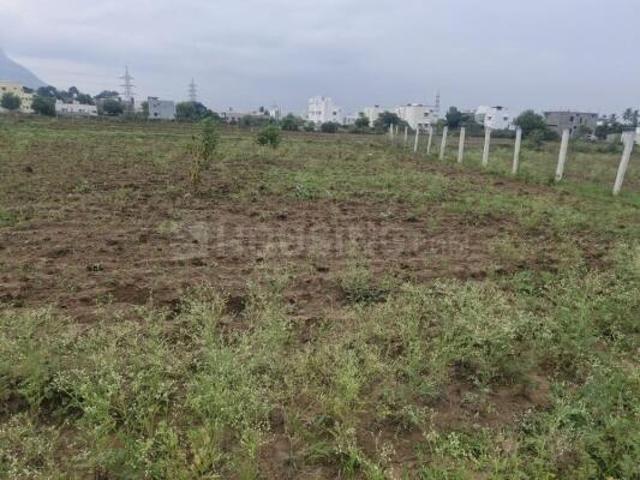 Land for sale in Madua, Parali