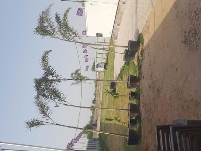 Land for sale in Hariana