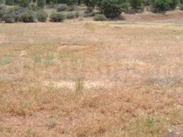 Land for sale in Bhavanagiri, Telangana