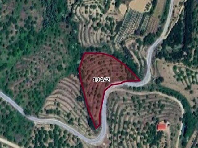 İzmir Merkez içerisinde satılık Tarla İzmir Merkez içerisinde satılık Tarla