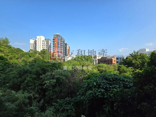 提供 出售 的 合租房