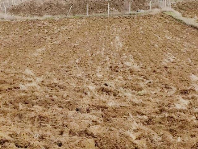 Bozüyük, Bilecik içerisinde satılık Arsa