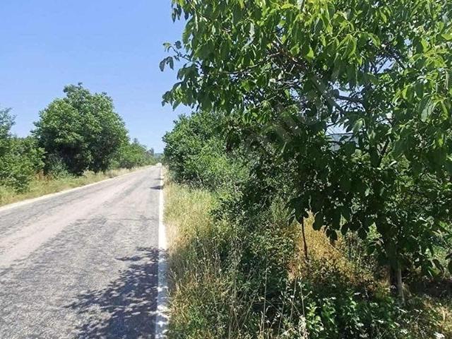 Gölpazari, Bilecik içerisinde satılık Arsa