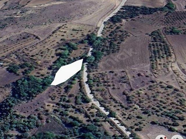 Gölpazari, Bilecik içerisinde satılık Arsa